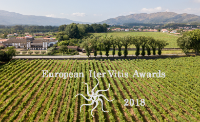 The Municipality of Ponte de Lima is nominated for the final of the Iter Vitis Award 2018